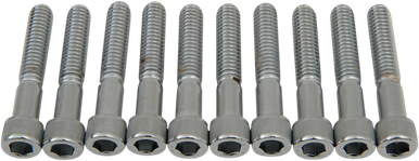 DRAG SPECIALTIES 5/16-18X1 3/4" Socket Head MPB220