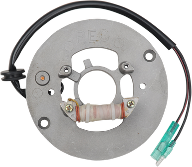 RICK'S MOTORSPORT ELECTRIC STATOR YAMAHA 21-906
