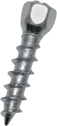 Woody's Attack 25mm Twist Tire Screws for ATVs 2025 WST-0625-500