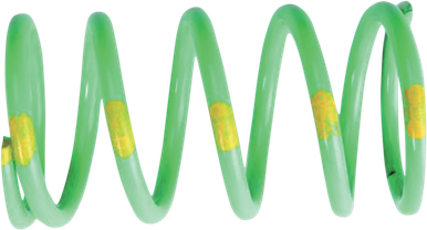 VENOM PRODUCTS Primary Spring 210210-001