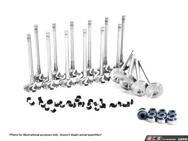 Supertech Inconel Exhaust Valve Kit | ES3647523