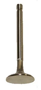 Stainless Steel Exhaust Valve 24mm 5.5mm Stem