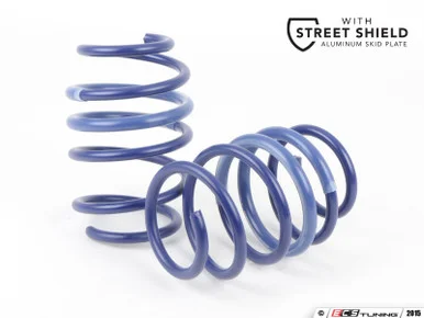 H&R Sport Springs – ECS Street Shield | ES2996696
