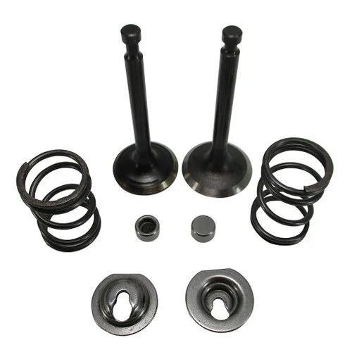 Stock Appearing Big Valve & Spring Package 6.5 Chinese OHV Predator 212 Hemi