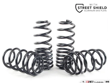 Neuspeed Sport Springs – ECS Street Shield