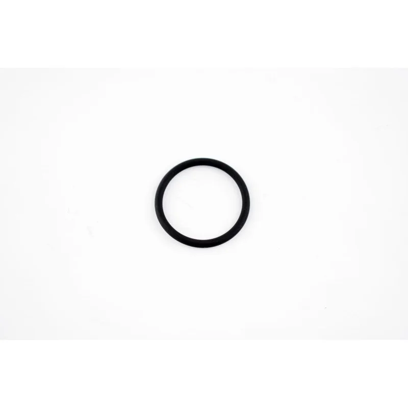 WSM Thermostat O-Ring for Sea-Doo 900 14-23 008-599-25