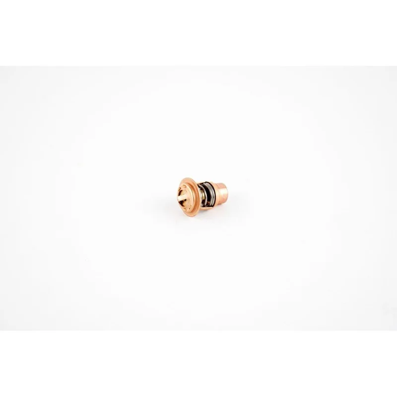 WSM Thermostat for Polaris 650 – 1200 92-04 004-265