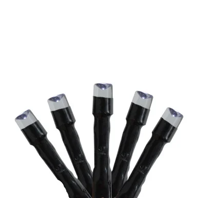 3′ x 4′ Twinkling Cool White LED Christmas Net Light Connect 24V Extension Set – Black Wire
