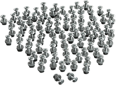 CHRIS PRODUCTS License Plate Bolts - 100PK CHB100