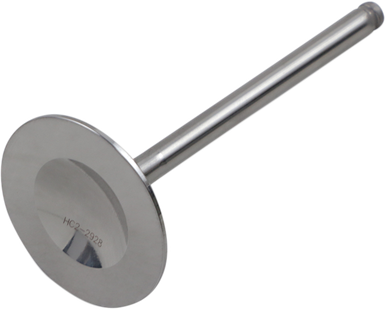 DEL WEST Intake Valve DW-RMZ450-IV08