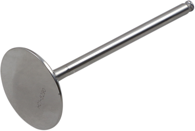 DEL WEST Intake Valve DW-KX250FIV09ND