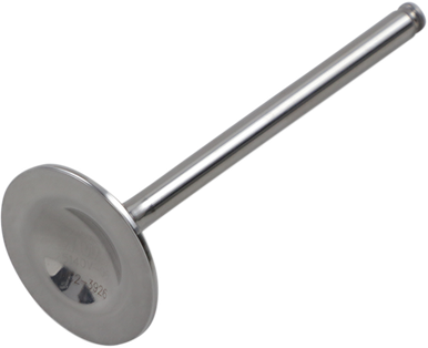 DEL WEST Exhaust Valve DWTRX450R1EV04