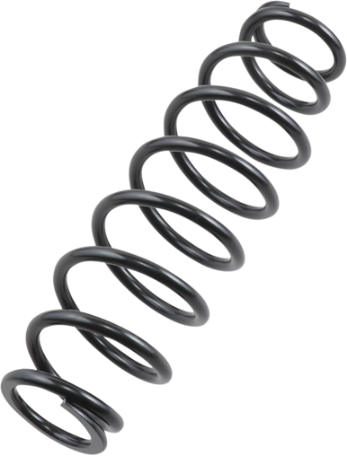 EPI Front/Rear Spring - Heavy Duty - Black - Spring Rate 120 lbs/in WE325117