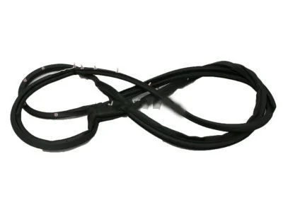 Toyota 67862-60010 Front Door Weatherstrip Left Hand