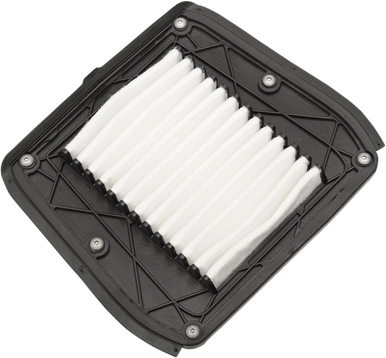 DRAG SPECIALTIES Air Filter - Indian E14-0996