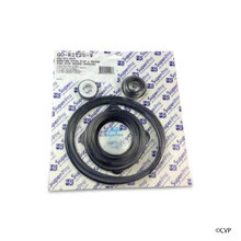 Aladdin Pentair American Ultra Flow Pump Complete Seal Kit | GO-KIT20-9