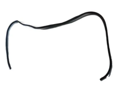 Toyota 62311-04041 Front Door Opening Trim Weatherstrip Right Hand