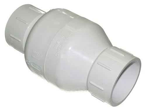 Flo Control 2″ Spring Check Valve Sxs 1/2# | 1011-20