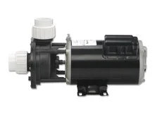 Gecko Alliance Pump 2.0Hp 2-Speed 230V 48 Frame Flo-Master Fmcp | 02620000-1010