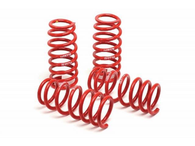 H&R Race Springs for 79-04