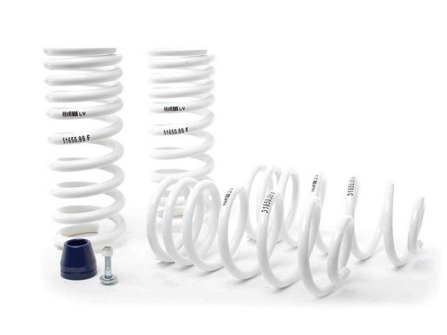 H&R Super Race Springs for 79-04