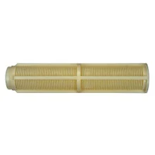 Pentair Lateral 9-1/8 Inch TR100C -152202