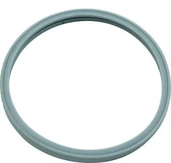 Pentair Lens Gasket Hatteras Pool Lite Purex Chd, Pool Star Swimming Pool Light Gasket | 614516