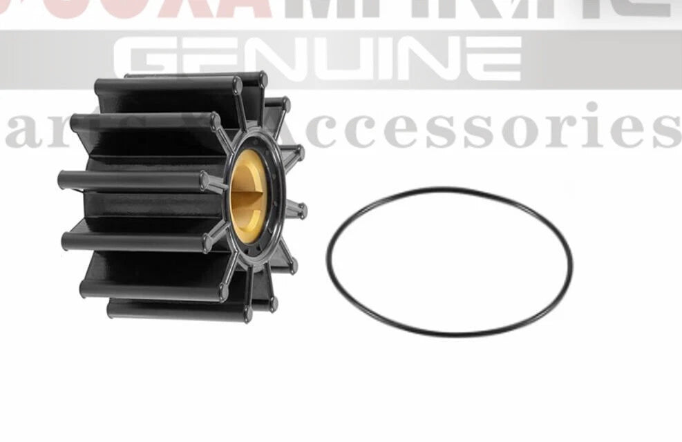 Minor Repair Kit for Sherwood Pump (Replaces 23976, 10615, P1014, P1015, P1016)