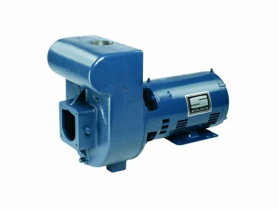 Sta-Rite D-Series 5HP Standard Efficiency Single Phase Commercial Pool Pump 230V, DMJ-172
