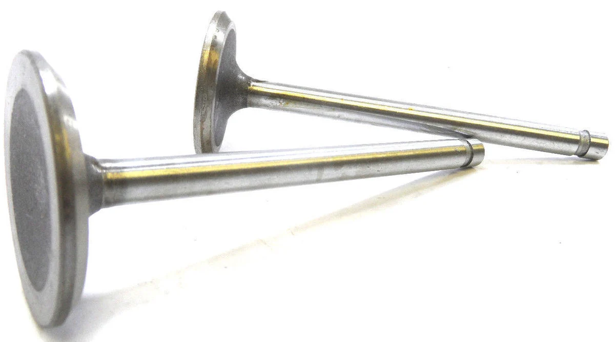 TRW V2533 Engine Exhaust Valve Set of 2