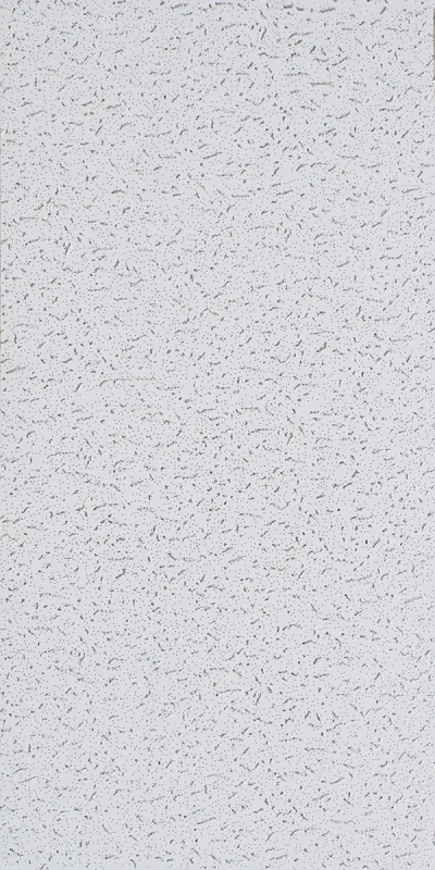 USG Fissured Basic 2 Ft. x 4 Ft. Square Edge Acoustical Ceiling Panels (8-Count)